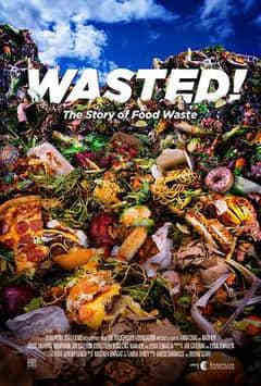 食物浪费的故事